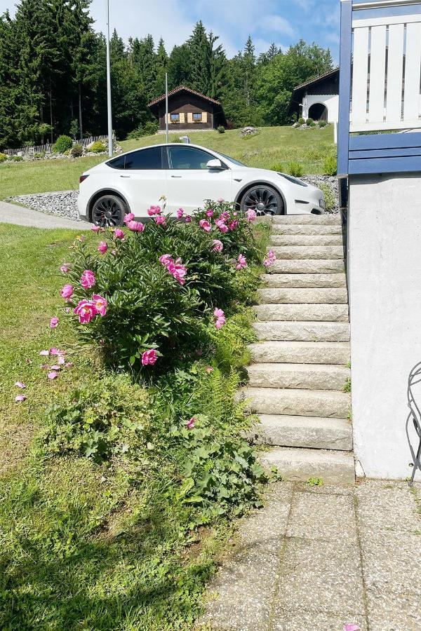 Apartamento Haus Waldblick Philippsreut Exterior foto